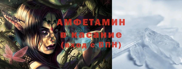 гидра Майский