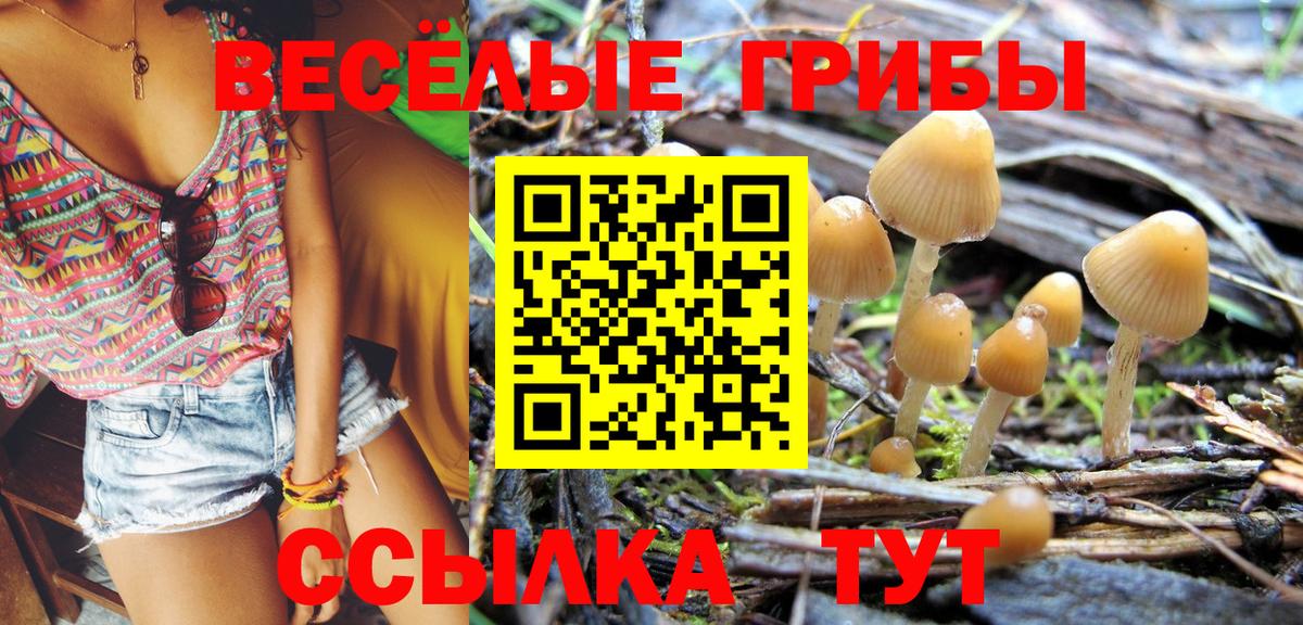 Псилоцибиновые грибы прущие грибы  Маркс  Псилоцибиновые грибы MAGIC MUSHROOMS 